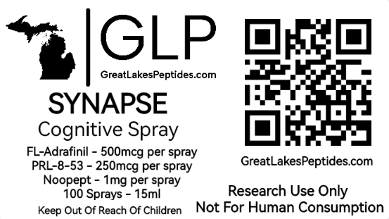 Synapse - 15ml Cognitive Spray - FL-Adrafinil, PRL-8-53, Noopept